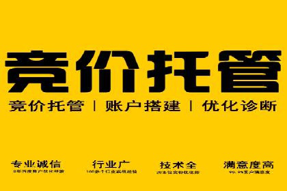 成功运用SEM服务实现品牌推广的案例分析